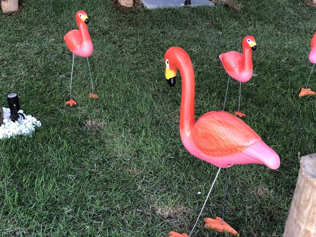 Flamingo Beach Pousada Cabo Frio Kültér fotó